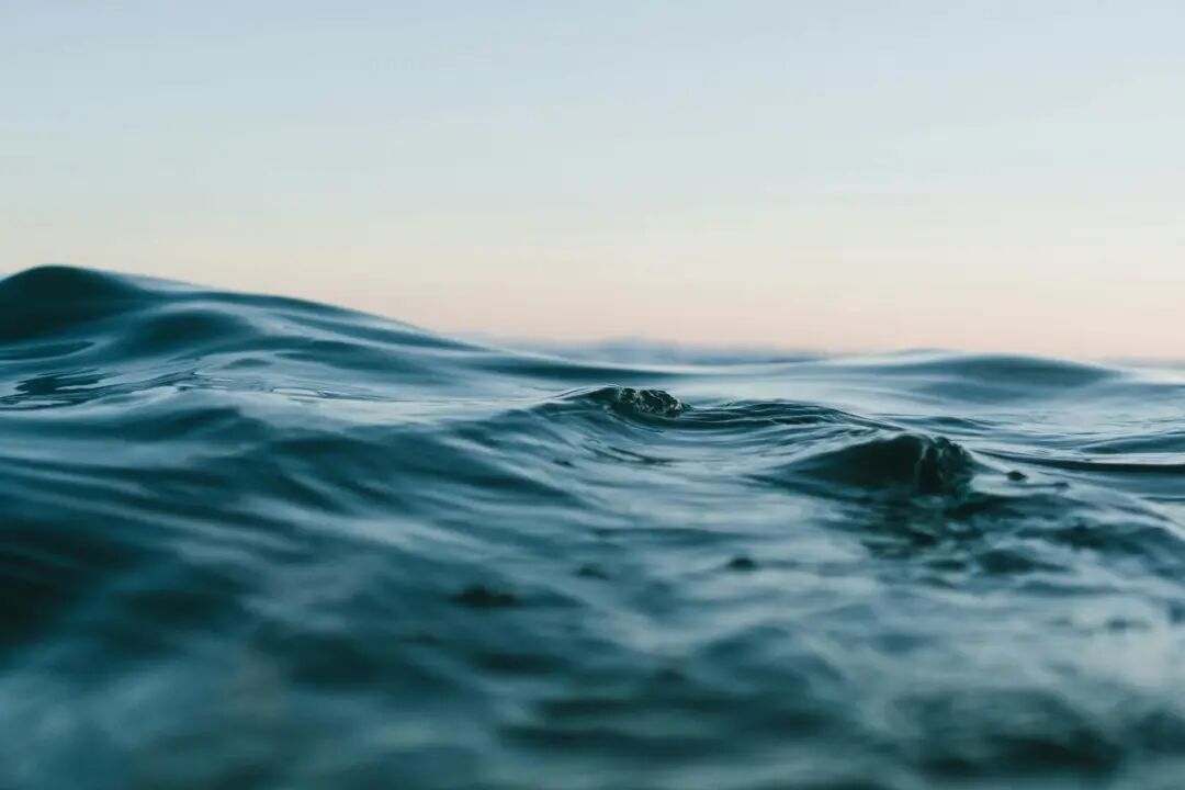 案例分享-泽铭科技在线水质分析仪在某市政污水处理厂四大关键工艺上的应用(图8)