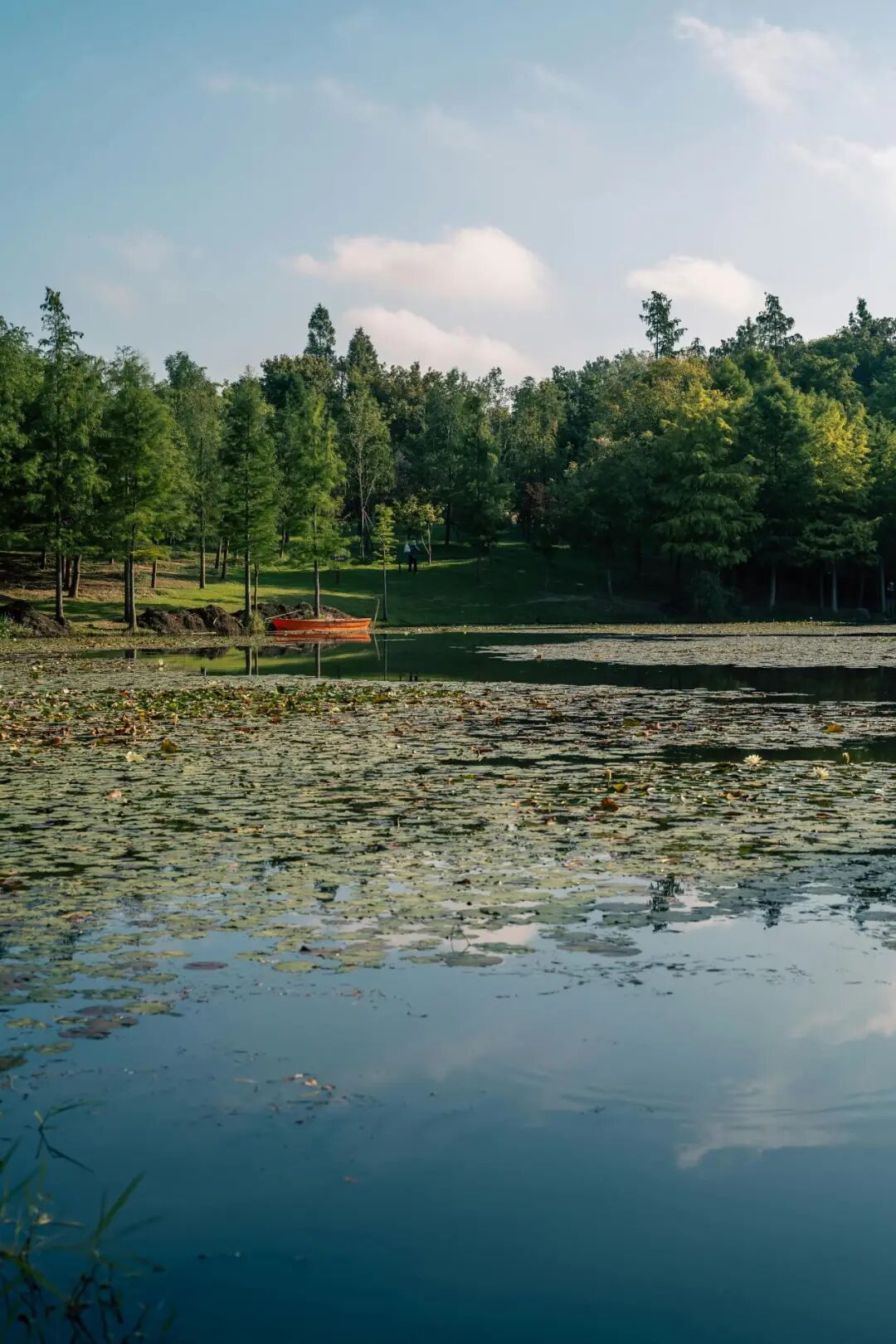 案例分享：预警升级！泽铭微型水质监测站，筑牢自来水安全“第一道防线”(图2)