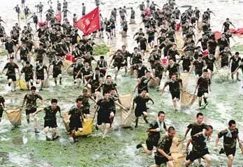 连续18年袭扰黄海,浒苔为何“年年见”?原位监测成破局关键(图2)