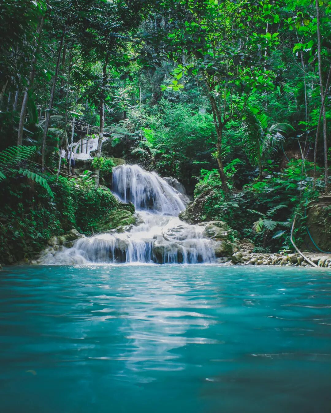 超强台风 “巴威” 直奔江浙沪！长三角河湖水质迎大考(图6)